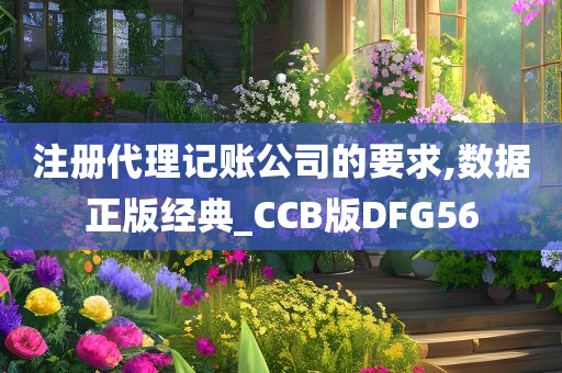 注册代理记账公司的要求,数据正版经典_CCB版DFG56
