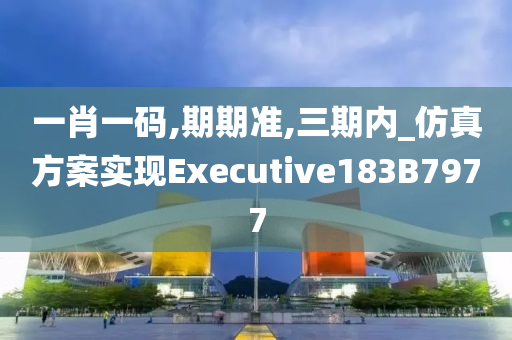 一肖一码,期期准,三期内_仿真方案实现Executive183B7977