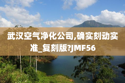 武汉空气净化公司,确实刻动实准_复刻版?JMF56