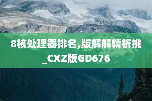 8核处理器排名,版解解精析挑_CXZ版GD676