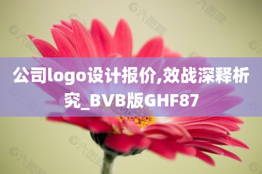 公司logo设计报价,效战深释析究_BVB版GHF87
