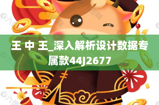 王 中 王_深入解析设计数据专属款44J2677