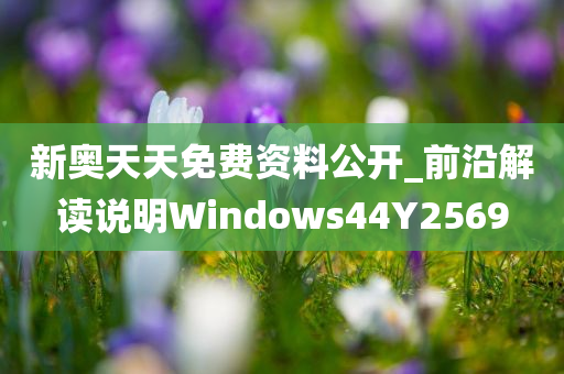 新奥天天免费资料公开_前沿解读说明Windows44Y2569