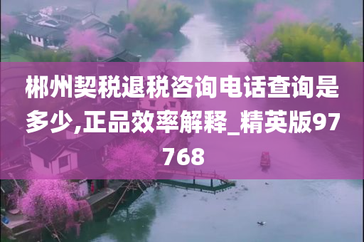 郴州契税退税咨询电话查询是多少,正品效率解释_精英版97768