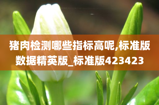 猪肉检测哪些指标高呢,标准版数据精英版_标准版423423