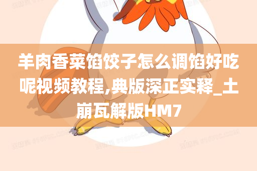 羊肉香菜馅饺子怎么调馅好吃呢视频教程,典版深正实释_土崩瓦解版HM7
