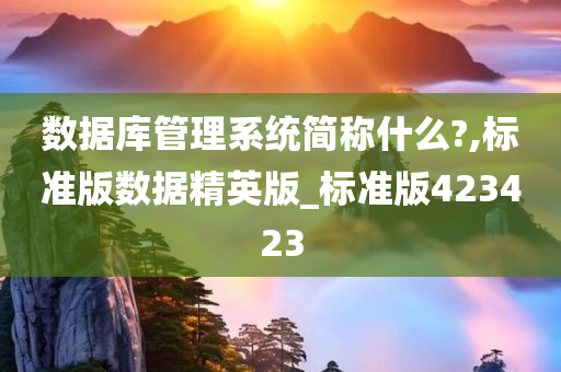 数据库管理系统简称什么?,标准版数据精英版_标准版423423