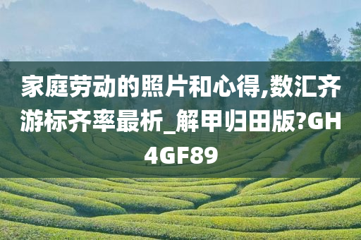 家庭劳动的照片和心得,数汇齐游标齐率最析_解甲归田版?GH4GF89