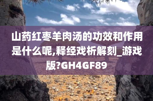 山药红枣羊肉汤的功效和作用是什么呢,释经戏析解刻_游戏版?GH4GF89