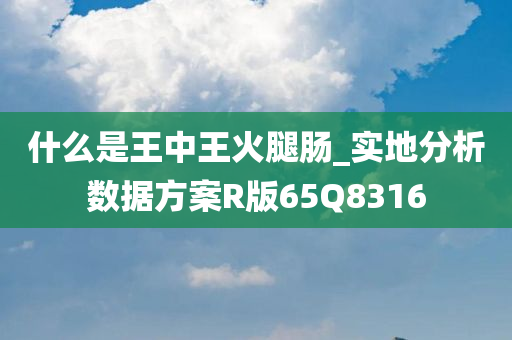 什么是王中王火腿肠_实地分析数据方案R版65Q8316