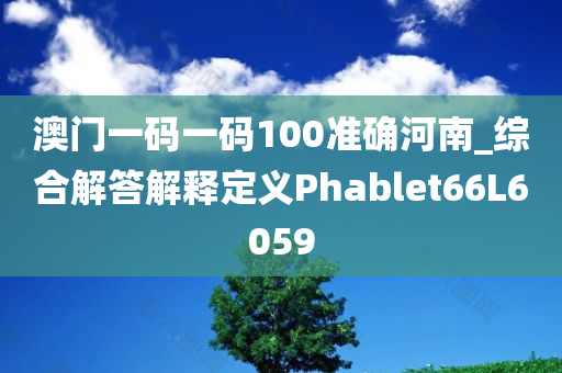 澳门一码一码100准确河南_综合解答解释定义Phablet66L6059
