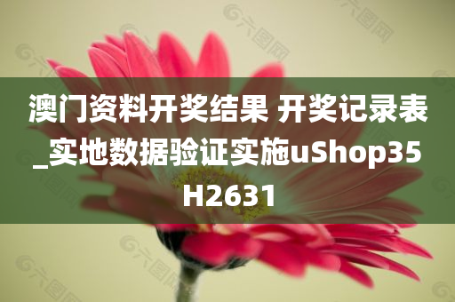 澳门资料开奖结果 开奖记录表_实地数据验证实施uShop35H2631
