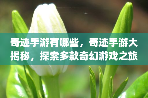 奇迹手游有哪些，奇迹手游大揭秘，探索多款奇幻游戏之旅