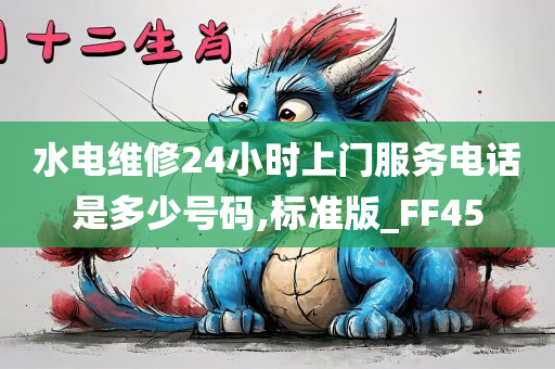 水电维修24小时上门服务电话是多少号码,标准版_FF45