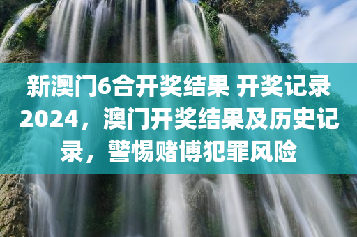 新澳门6合开奖结果 开奖记录2024，澳门开奖结果及历史记录，警惕赌博犯罪风险