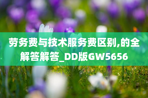 技术服务费 第3页