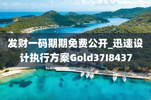 发财一码期期免费公开_迅速设计执行方案Gold37I8437