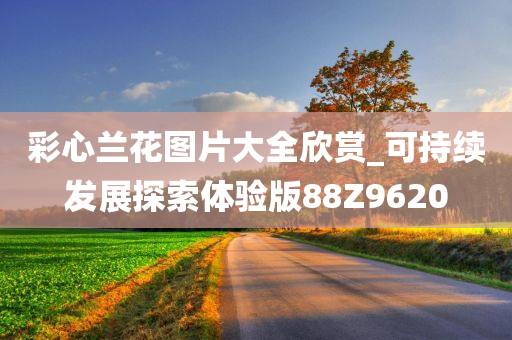 彩心兰花图片大全欣赏_可持续发展探索体验版88Z9620