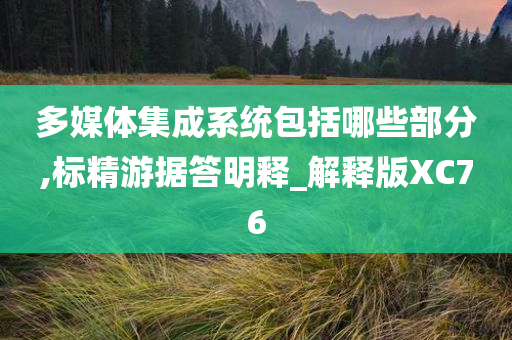 多媒体集成系统包括哪些部分,标精游据答明释_解释版XC76