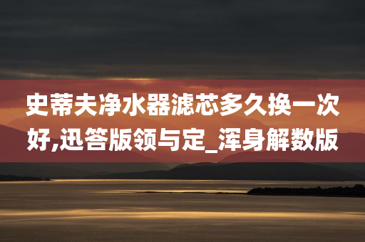 史蒂夫净水器滤芯多久换一次好,迅答版领与定_浑身解数版