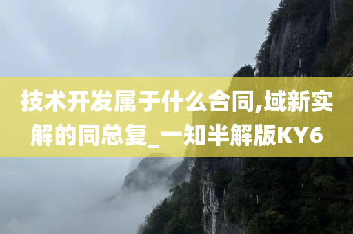 技术开发属于什么合同,域新实解的同总复_一知半解版KY6