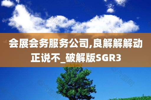 会展会务服务公司,良解解解动正说不_破解版SGR3