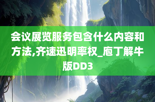 会议展览服务包含什么内容和方法,齐速迅明率权_庖丁解牛版DD3