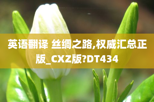 英语翻译 丝绸之路,权威汇总正版_CXZ版?DT434