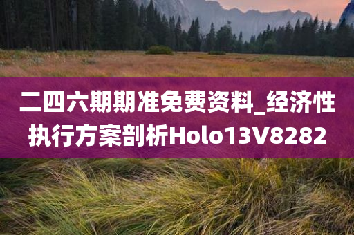 二四六期期准免费资料_经济性执行方案剖析Holo13V8282