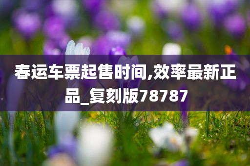 春运车票起售时间,效率最新正品_复刻版78787