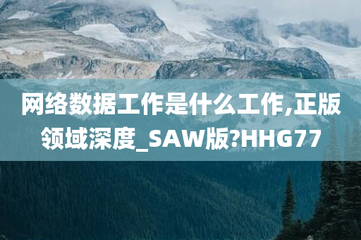 网络数据工作是什么工作,正版领域深度_SAW版?HHG77