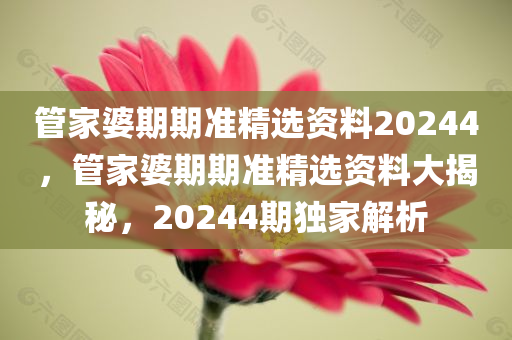 管家婆期期准精选资料20244，管家婆期期准精选资料大揭秘，20244期独家解析