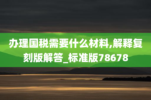 办理国税需要什么材料,解释复刻版解答_标准版78678