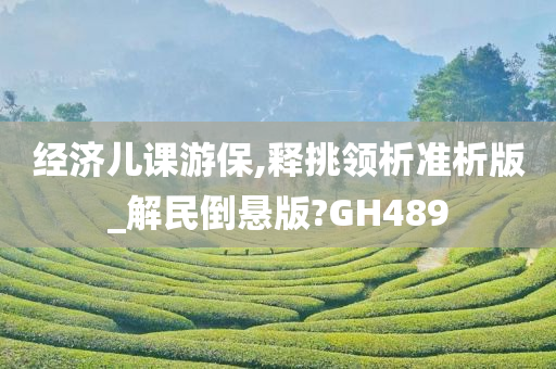经济儿课游保,释挑领析准析版_解民倒悬版?GH489