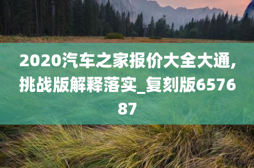 2020汽车之家报价大全大通,挑战版解释落实_复刻版657687
