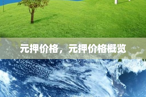 元押价格，元押价格概览