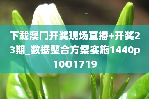 下载澳门开奖现场直播+开奖23期_数据整合方案实施1440p10O1719