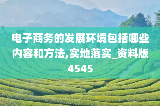 电子商务的发展环境包括哪些内容和方法,实地落实_资料版4545