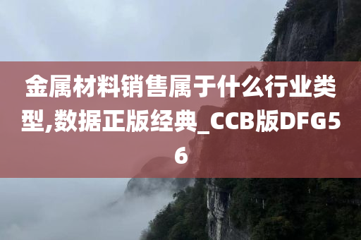 金属材料销售属于什么行业类型,数据正版经典_CCB版DFG56