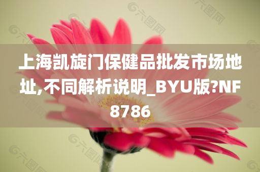 上海凯旋门保健品批发市场地址,不同解析说明_BYU版?NF8786