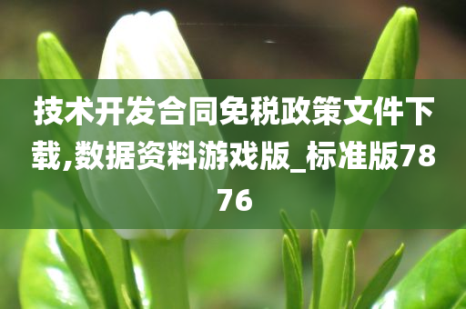 技术开发合同 第4页