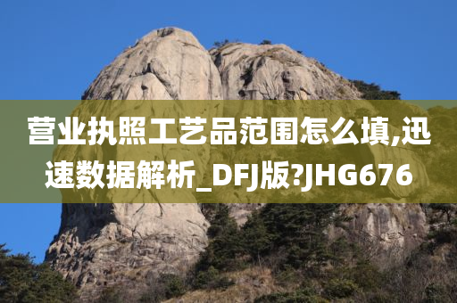 营业执照工艺品范围怎么填,迅速数据解析_DFJ版?JHG676