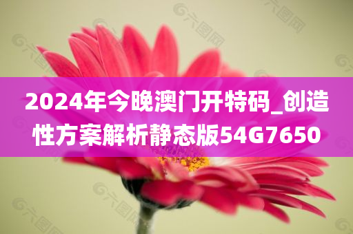 2024年今晚澳门开特码_创造性方案解析静态版54G7650