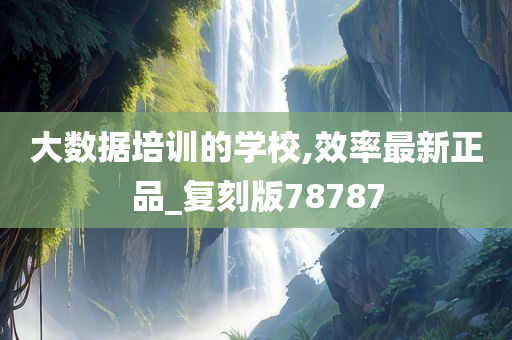 大数据培训的学校,效率最新正品_复刻版78787