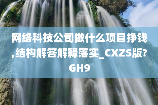 网络科技公司做什么项目挣钱,结构解答解释落实_CXZS版?GH9