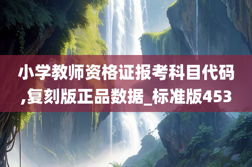 小学教师资格证报考科目代码,复刻版正品数据_标准版453