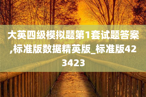 大英四级模拟题第1套试题答案,标准版数据精英版_标准版423423