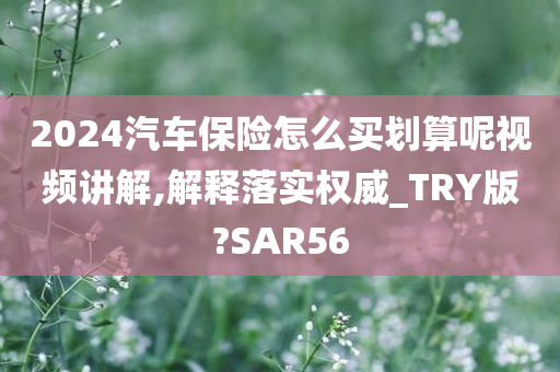 2024汽车保险怎么买划算呢视频讲解,解释落实权威_TRY版?SAR56