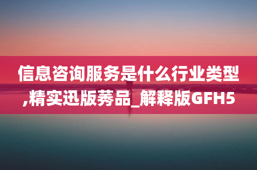 信息咨询服务是什么行业类型,精实迅版莠品_解释版GFH5