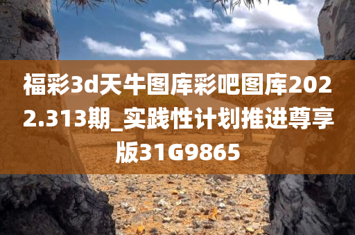 chenxinyao 第91页